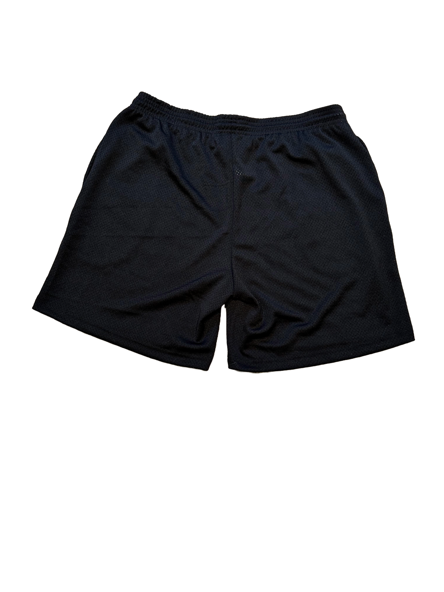 Duo Logo Mesh Shorts