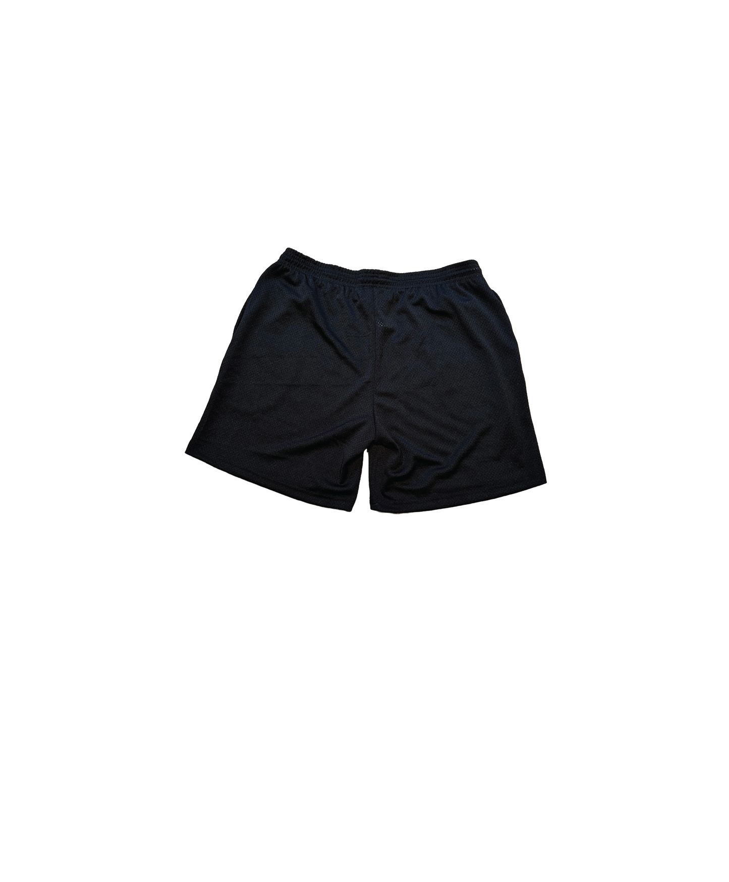 Duo Logo Mesh Shorts